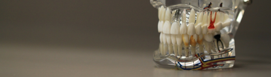 mercado odontológico