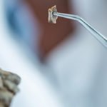 A importância da tecnologia 3D para a Odontologia Forense